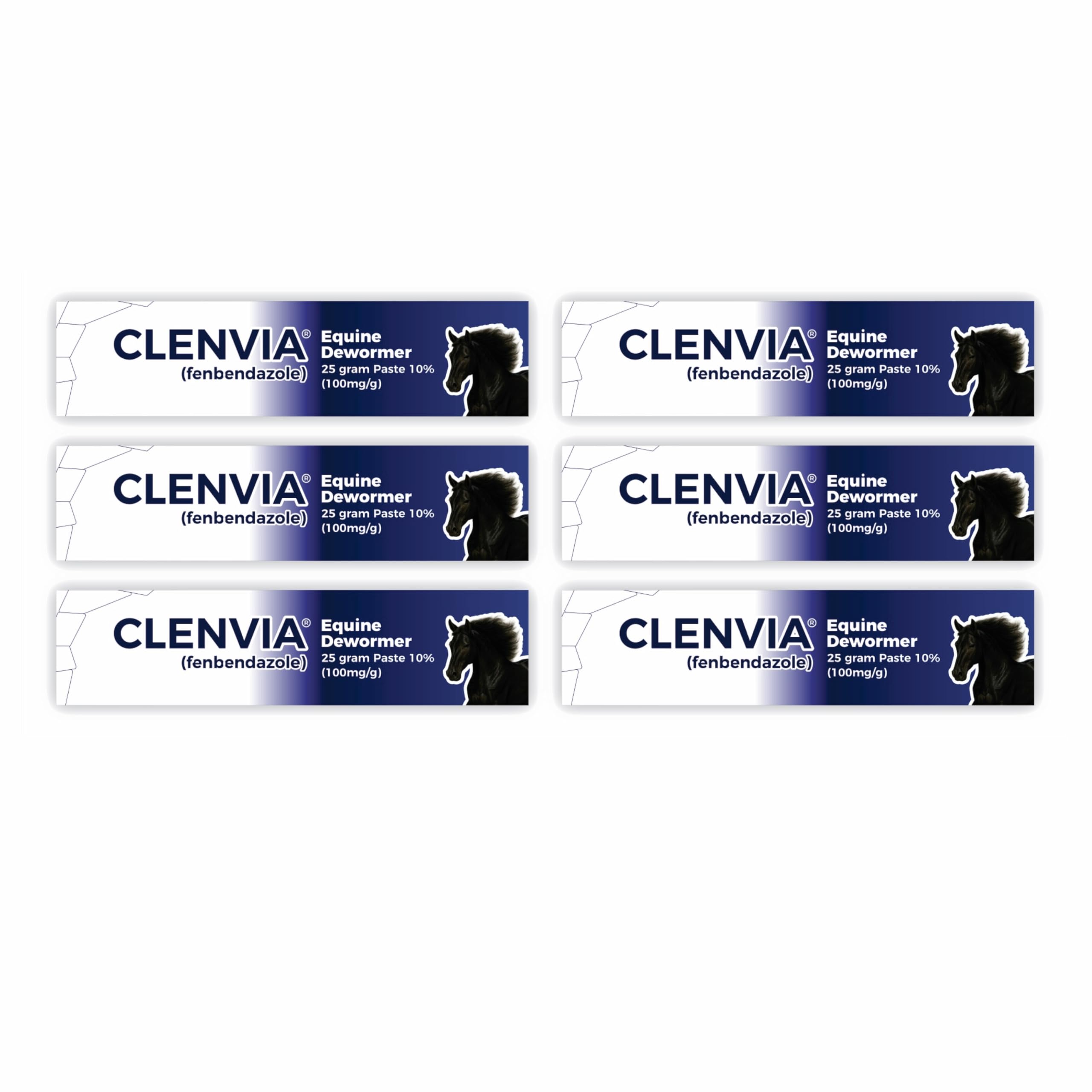 Horse Paste 10% – 25g Syringes – Oral Deworming Paste for Horses of All Ages – Easy-to-Administer Equine Care (Pack of 6)