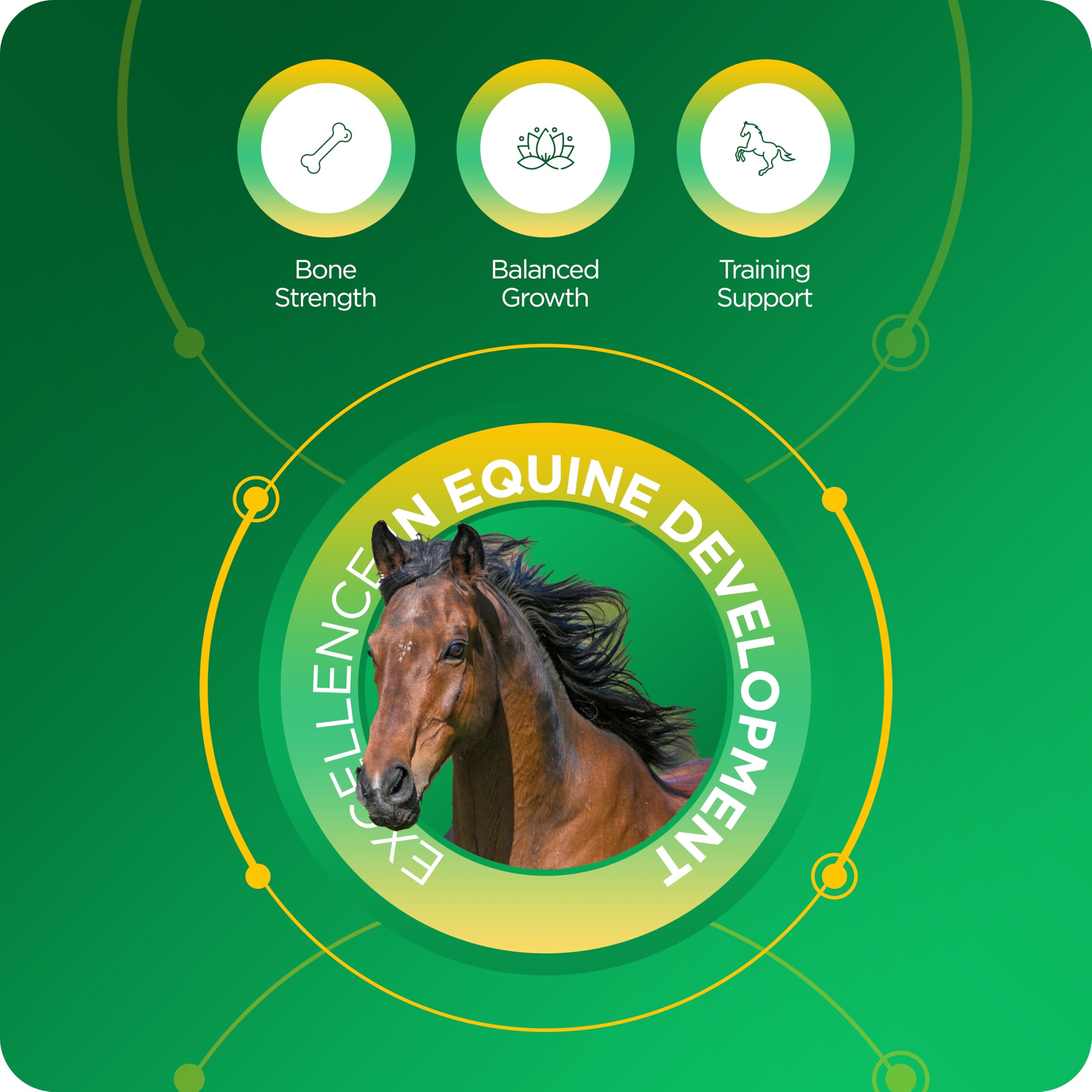 Suplemento equino rico en nutrientes TRM Calphormin para el desarrollo óseo óptimo de caballos jóvenes - 10 Kg (22 lb) - Cubeta - 22 lb
