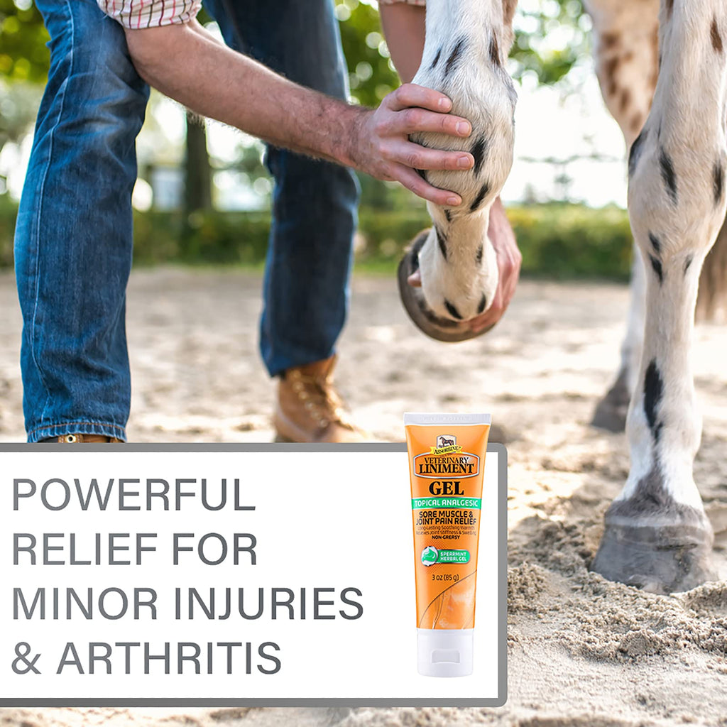 Absorbine Linimento Veterinario Analgésico Tópico Alivio del Dolor Muscular y Artrítico Linimento Rubefaciente, Gel de 340 gramos