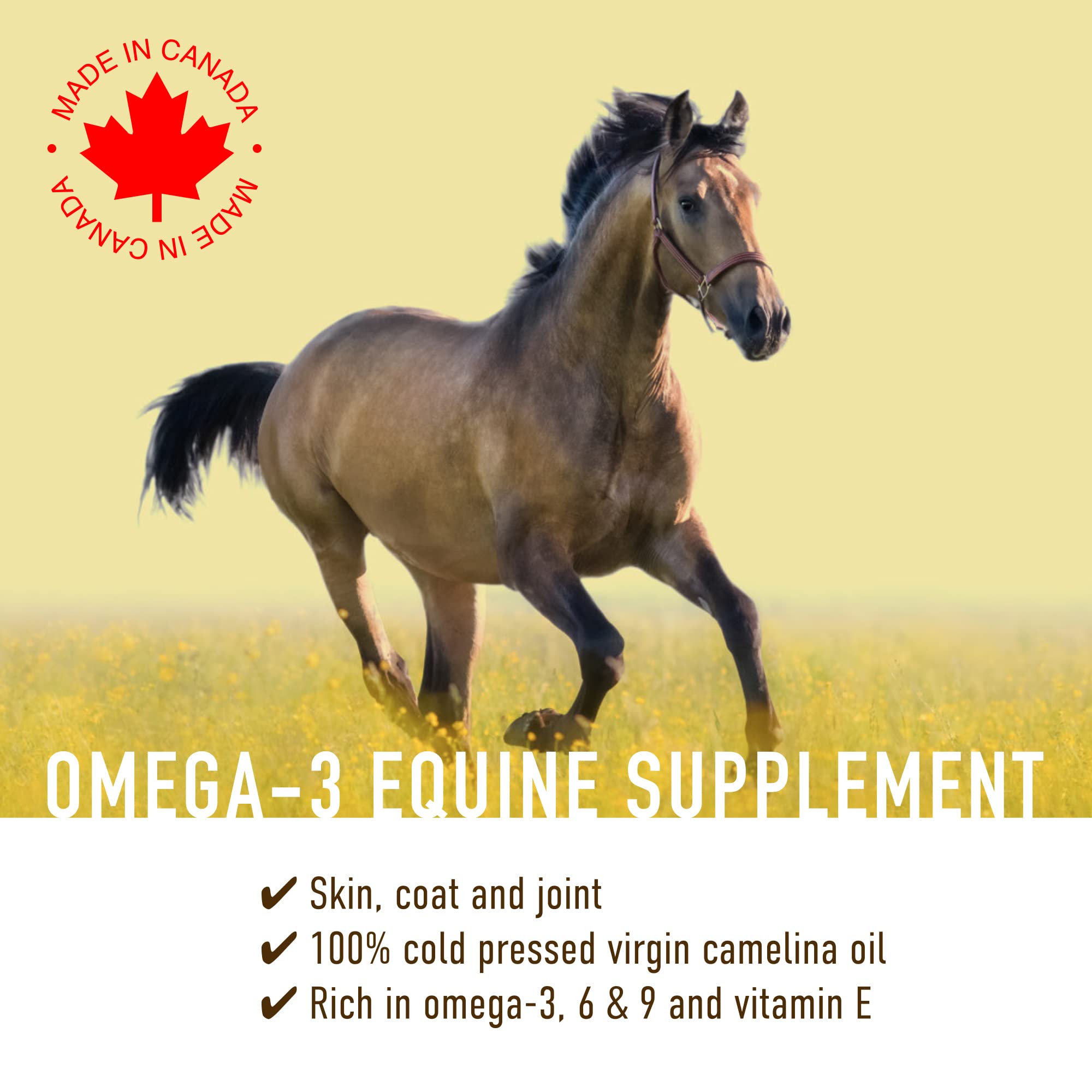 Camelina Oil for Horses, 1 Gallon by Olimega Farm | High in Omega-3 & Vitamin E | Support for Healthy Joints, Coat & Skin | Pure & Cold Pressed | Joint Supplement | Made in Canada | Non-GMO
