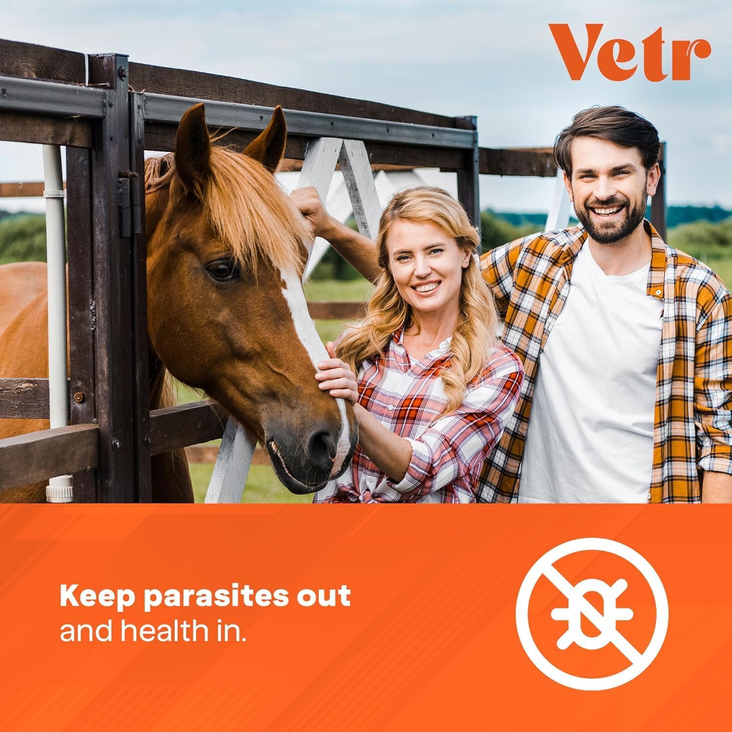 Ivermectin for Horses & Sheep 1.87% Concentration, 6cc, 7 Pack