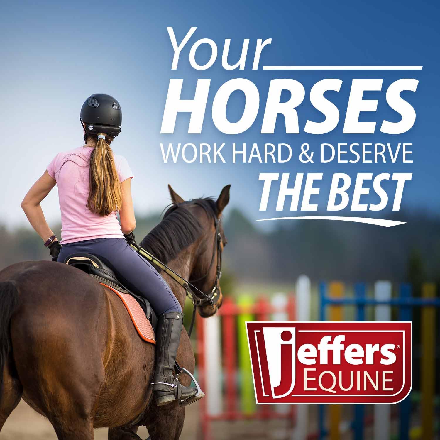 Bocados para caballo Jeffers Equine, equipo de entrenamiento duradero para caballos, equipo de equitación western, accesorios ecuestres