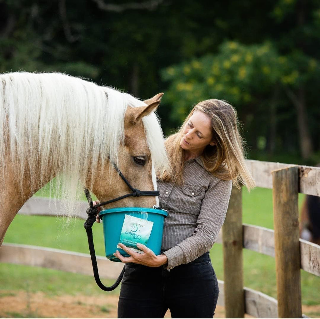 GALLAGHER'S WATER Paquete de 2, Golosina de Hidratación Equina Totalmente Natural - Mezcla de Polvo Potenciador, Golosina para Caballos para Fomentar el Consumo de Agua - Hecha con Ingredientes Totalmente Naturales, Conforme a la FEI