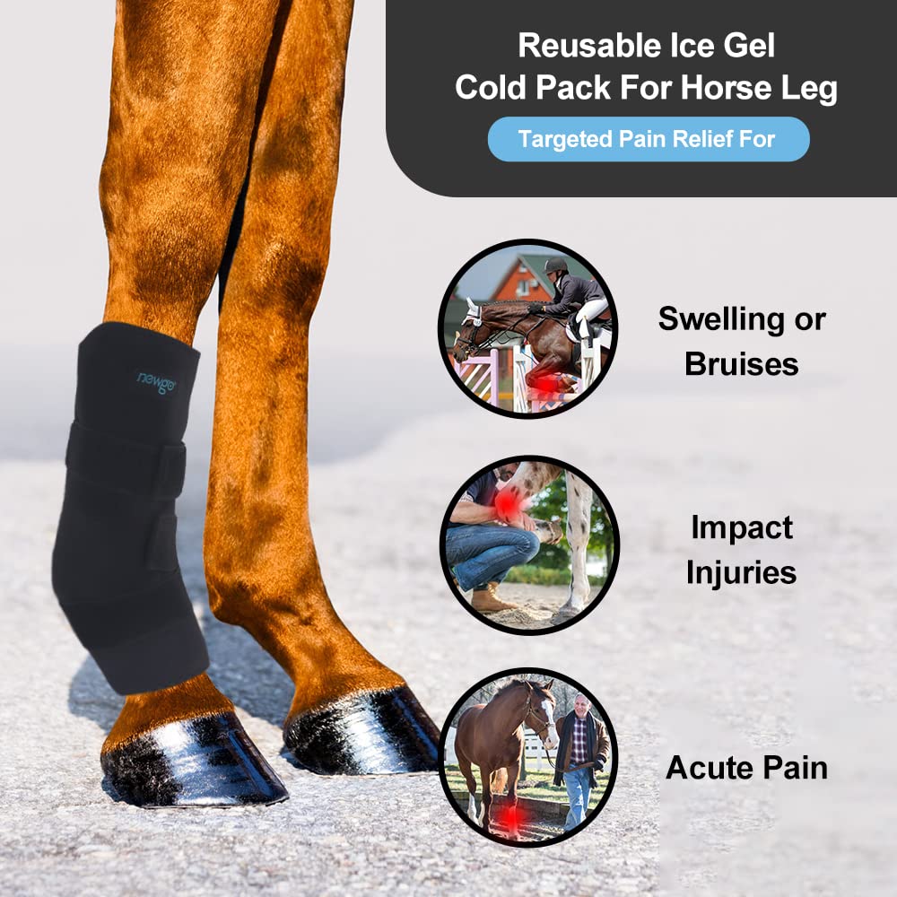 NEWGO Envoltura de hielo para caballo, reutilizable, para lesiones, envoltura refrescante de rodilla de caballo, cubierta completa, bota de hielo fría, 1 envoltura con 2 paquetes de gel para rodilla, piernas, botas y cascos