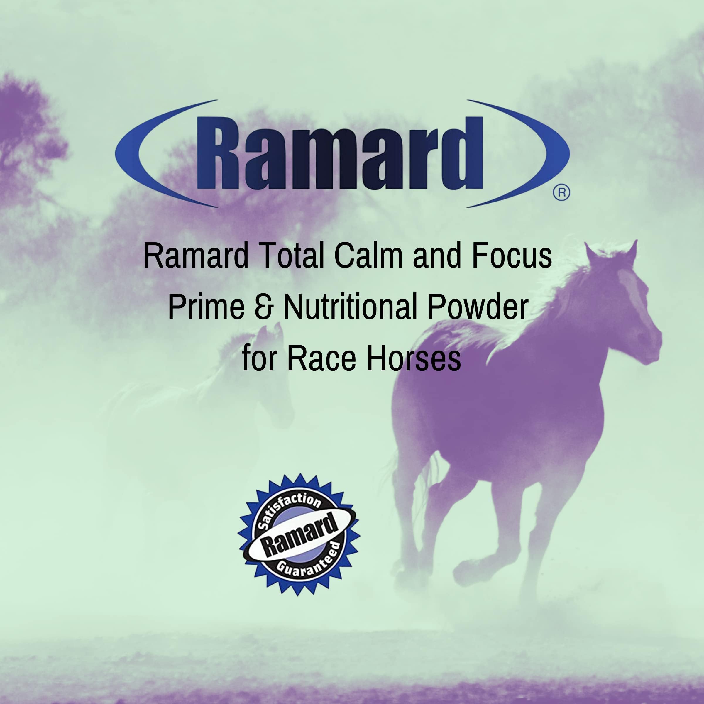Ramard Total Calm and Focus for Horses Supplement - Magnesium & Calming Formula for Horse Show, Training, Performance Mental Alertness Without Drowsiness, Show Safe, Equine Supplies 1oz Syringe 3Packs