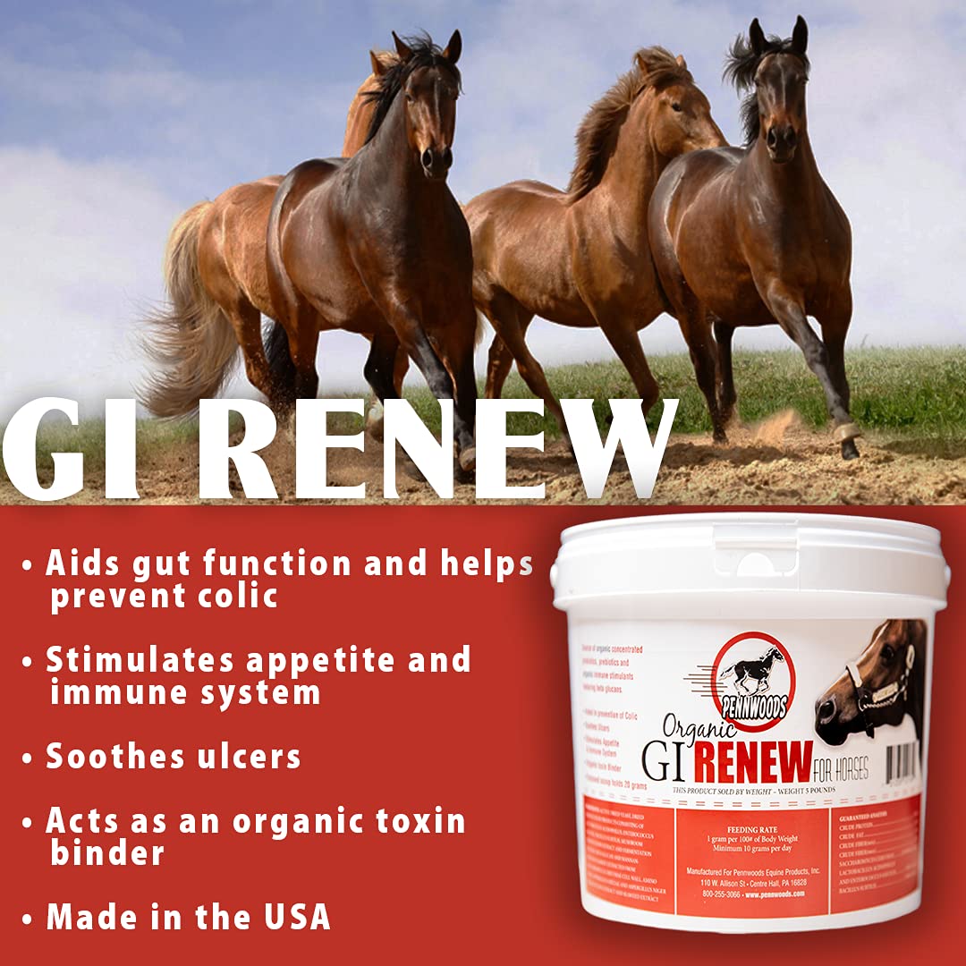 Pennwoods Equine Products GI Renew - 2 LBS | Digestión | Estimulante inmune | Suplemento de caballo | Estimulante del apetito | Probiótico | Prebiótico | Enzimas digestivas | Beta Glucans |