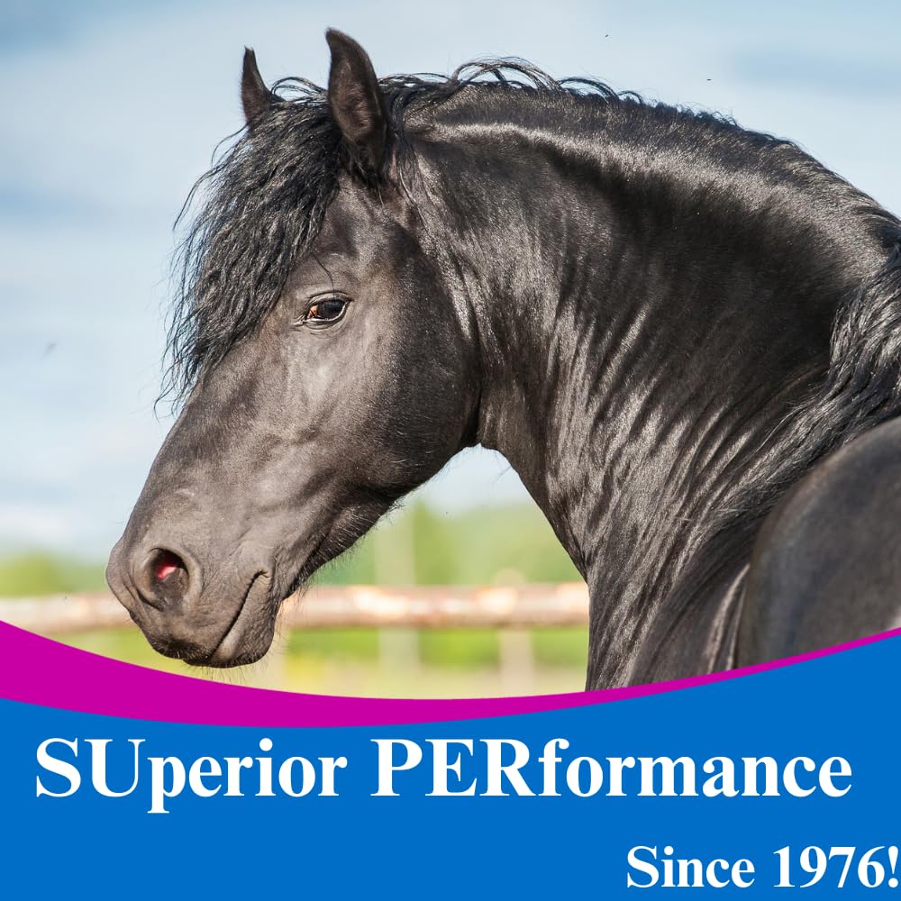 Suplemento vitamínico SU-PER B-15 para caballos - Vitamina B-15 en polvo equina para soporte de rendimiento - 12.5 Libras, suministro para 6 meses