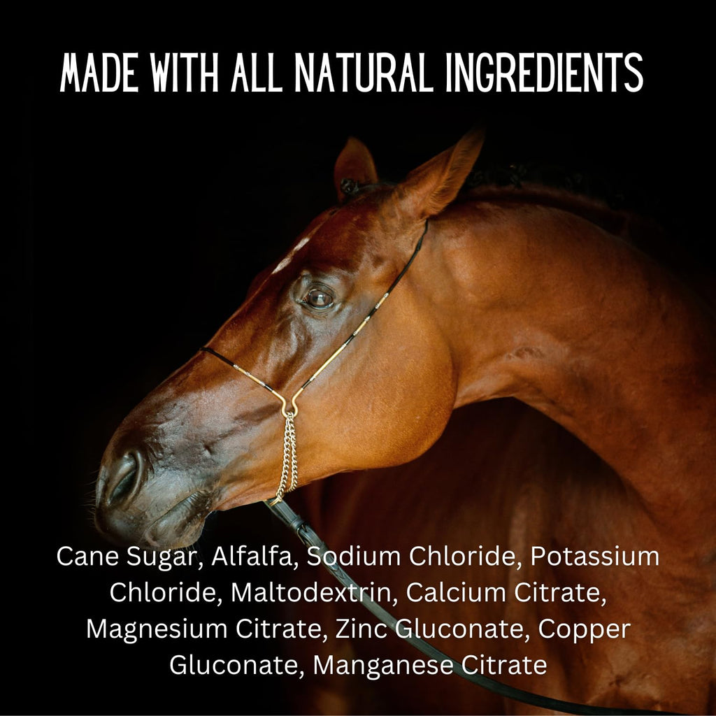 GALLAGHER'S WATER Paquete de 2, Golosina de Hidratación Equina Totalmente Natural - Mezcla de Polvo Potenciador, Golosina para Caballos para Fomentar el Consumo de Agua - Hecha con Ingredientes Totalmente Naturales, Conforme a la FEI