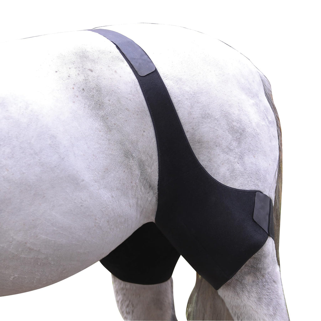 Dura-Tech Envolturas de Hielo para Babilla de Caballos | Alivio Equino Integral | Compresión y Confort Óptimos | Inserciones de Gel Reutilizables | Esenciales para el Entrenamiento y la Artritis