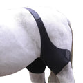 Dura-Tech Envolturas de Hielo para Babilla de Caballos | Alivio Equino Integral | Compresión y Confort Óptimos | Inserciones de Gel Reutilizables | Esenciales para el Entrenamiento y la Artritis