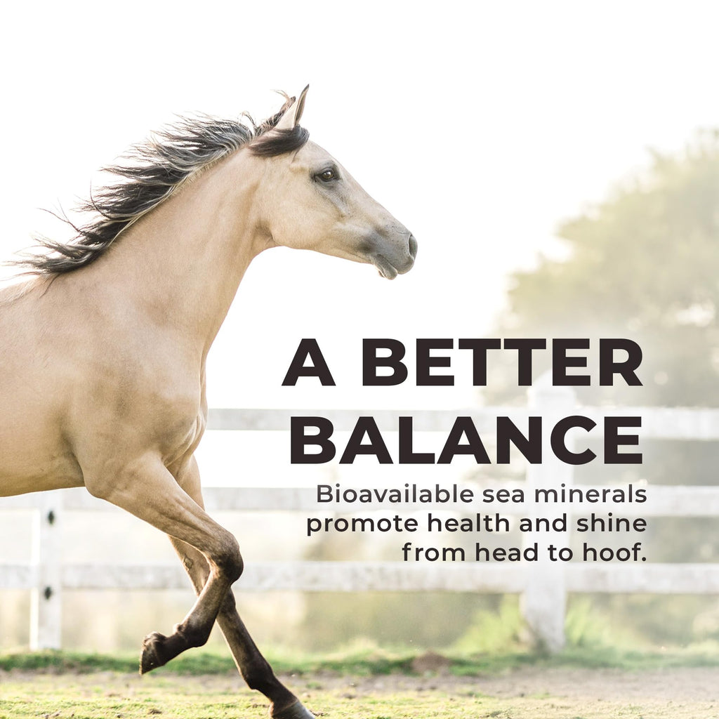 Suplemento de electrolitos de sal mineral suelta triturada REDMOND Rock para caballos (11,34 kg)