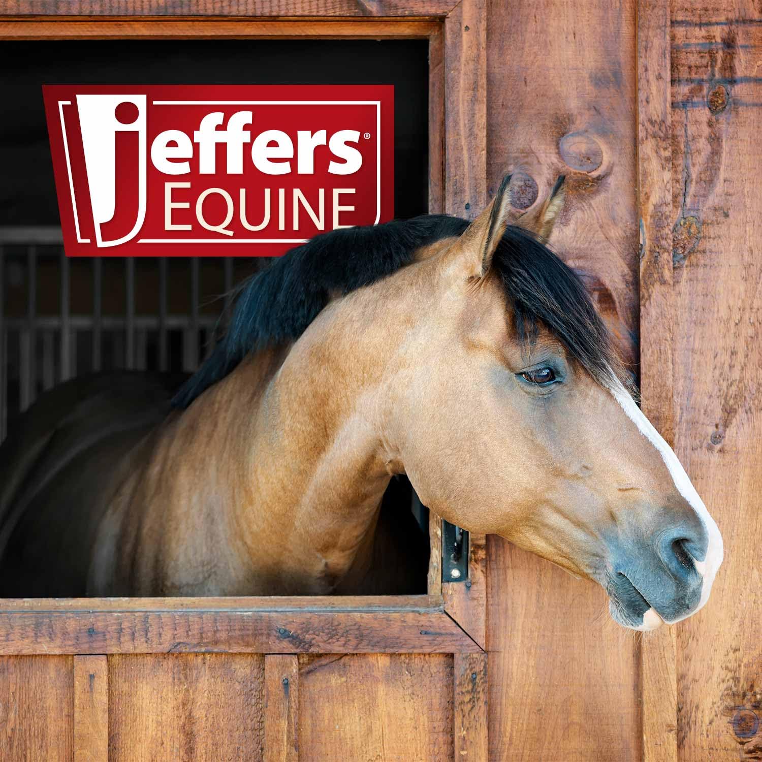 Bocados para caballo Jeffers Equine, equipo de entrenamiento duradero para caballos, equipo de equitación western, accesorios ecuestres