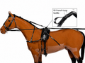 French loop harness