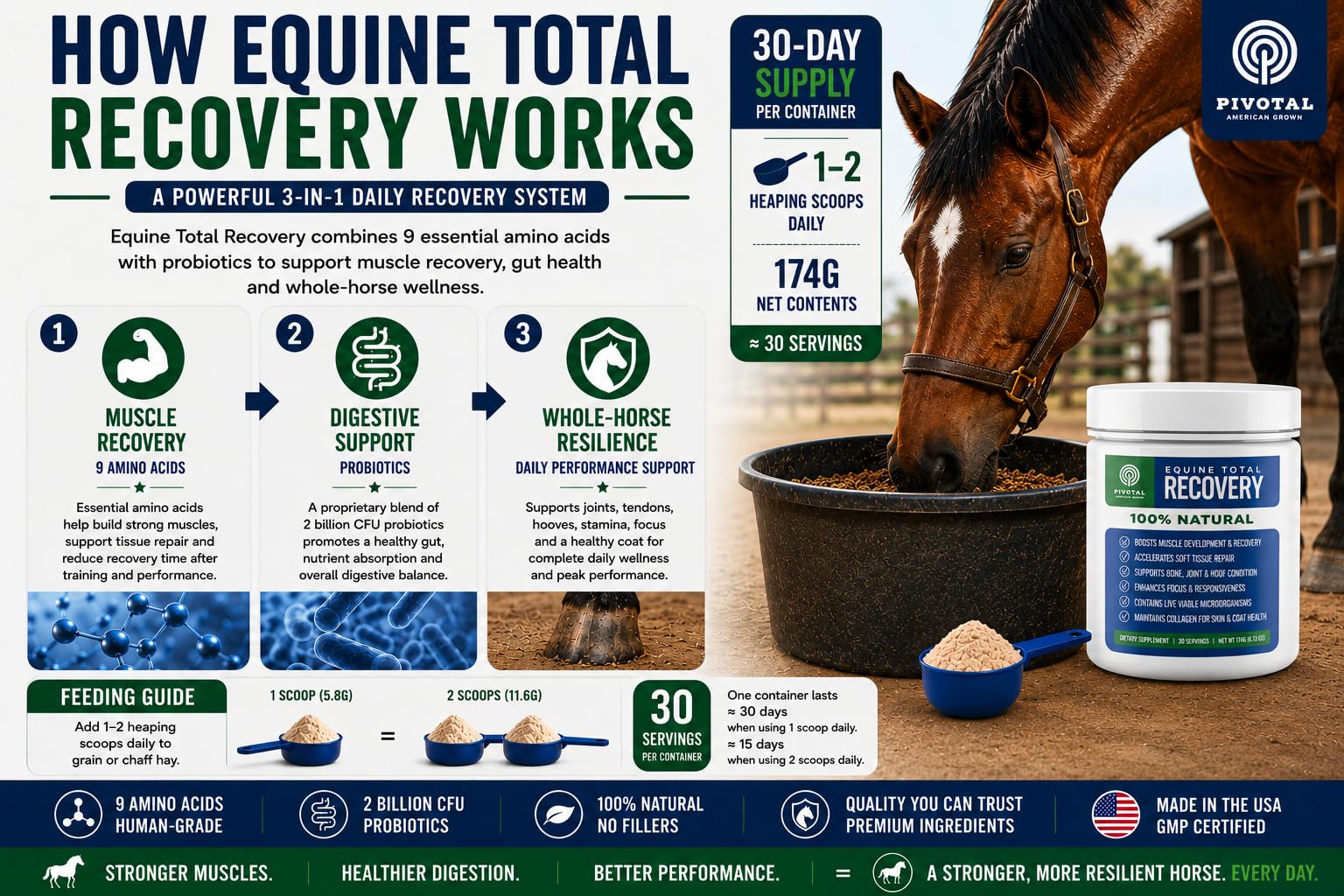Pivotal Feeds Equine Total Recovery Suplemento – 9 aminoácidos y probióticos para caballos | Recuperación muscular, rendimiento y apoyo digestivo | Aderezo de pienso para caballos | 100 porciones
