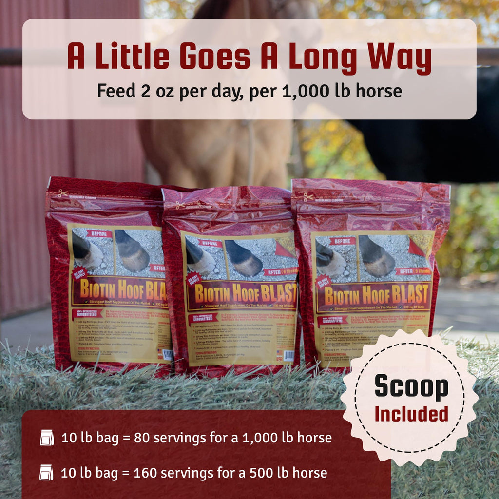 Suplementos para cascos Horse Guard para caballos - 80 dosis - Bolsa Biotin Hoof Blast de 10 lb con 100 mg de biotina por dosis - Salud concentrada para cascos equinos, fortalecedor con MSM, metionina, zinc