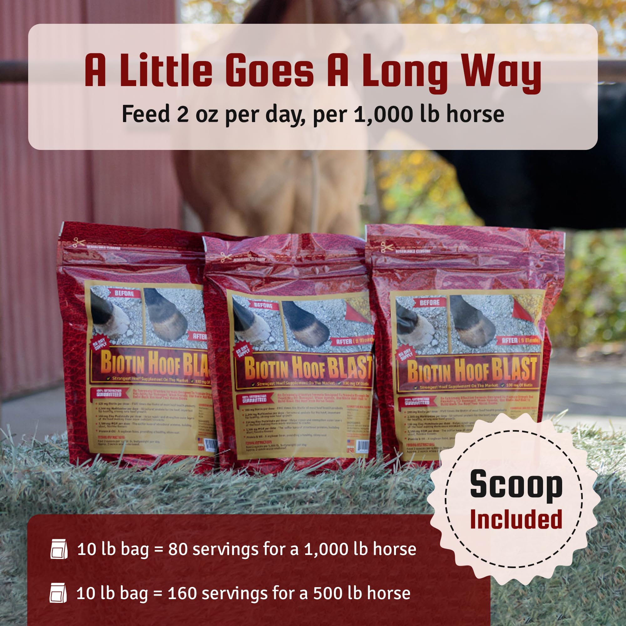Horse Guard Hoof Supplements for Horses - 80 Servings - Biotin Hoof Blast 10lb Bag with 100mg Biotin per Serving - Concentrated Equine Hoof Health, Strengthener with MSM, Methionine, Zinc