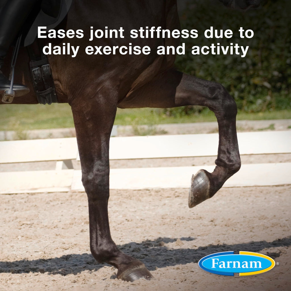 Suplemento Farnam Next Level Joint Fluid para caballos y perros, ayuda a mantener el tejido conectivo para aliviar la rigidez de las articulaciones debido a la actividad diaria, 473 ml, suministro para 16 días