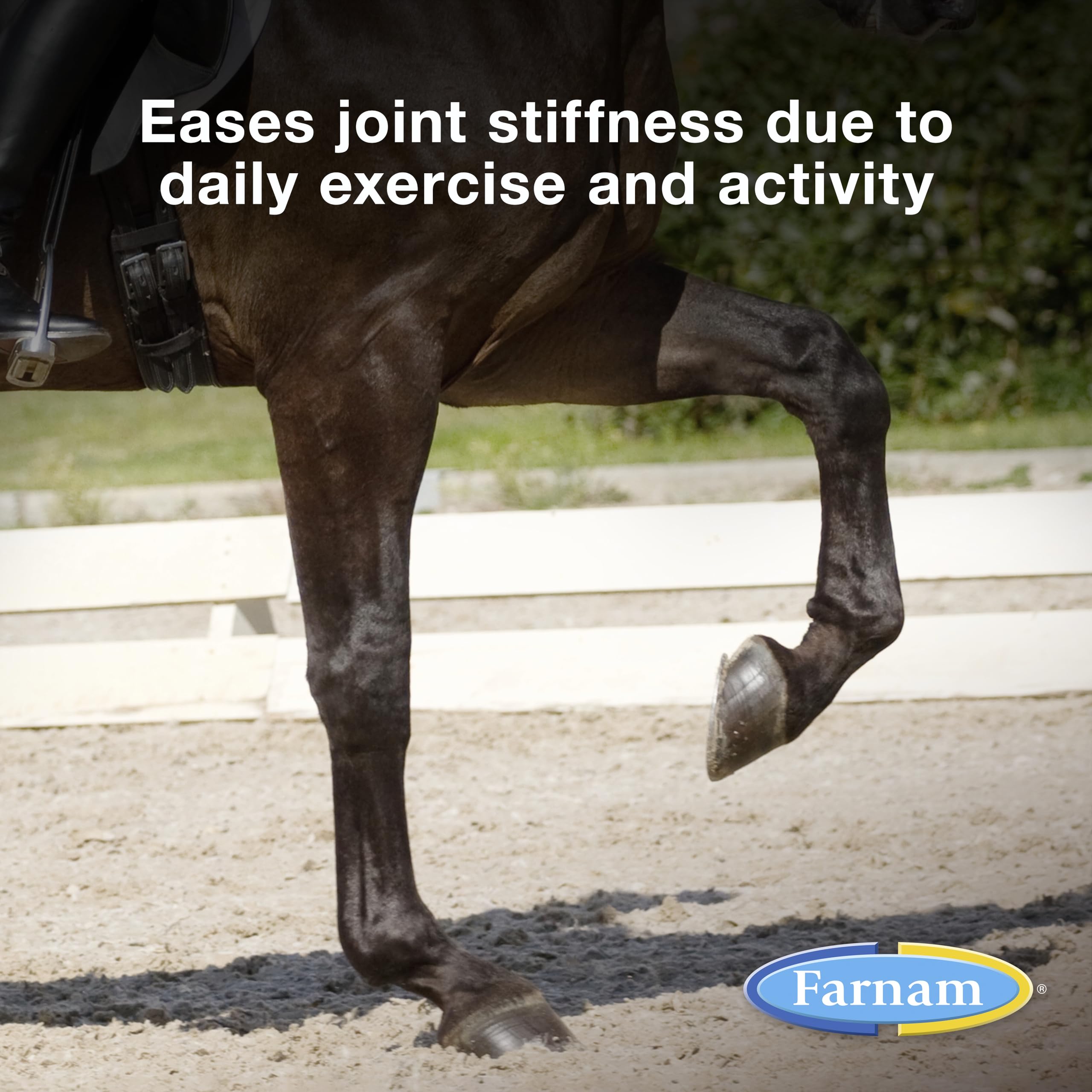 Farnam Next Level Joint Fluid Supplement for horses and dogs, Helps maintain connective tissue to ease joint stiffness due to daily activity, 16 ounces, 16 day supply