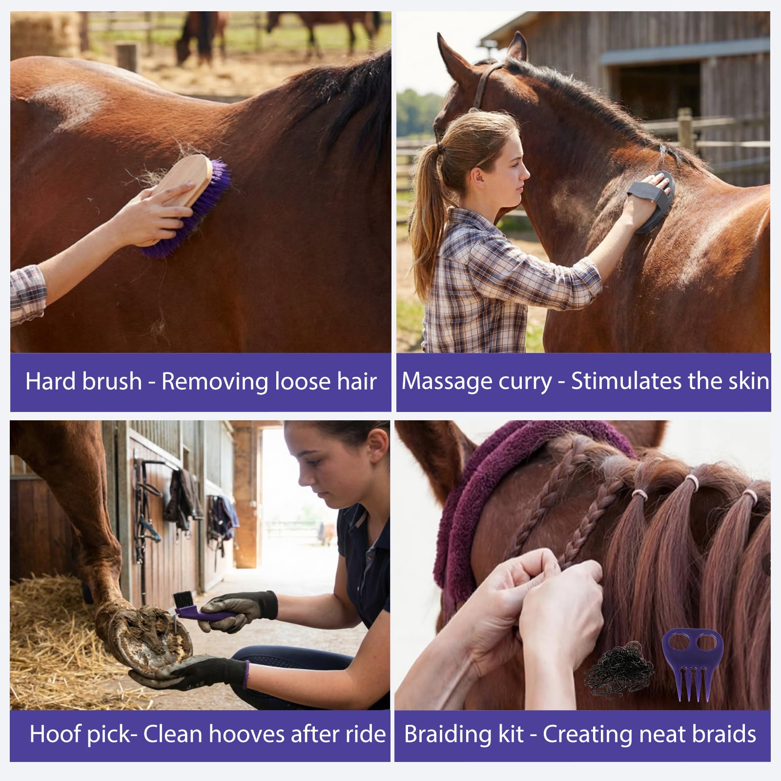 Horse Grooming Kit 13 Piece, Horse Brushes for Grooming Supplies Set with Organizer Bag, Horse Brush & Curry Comb for Effective Cleaning, Gift for Horses Riders Beginners