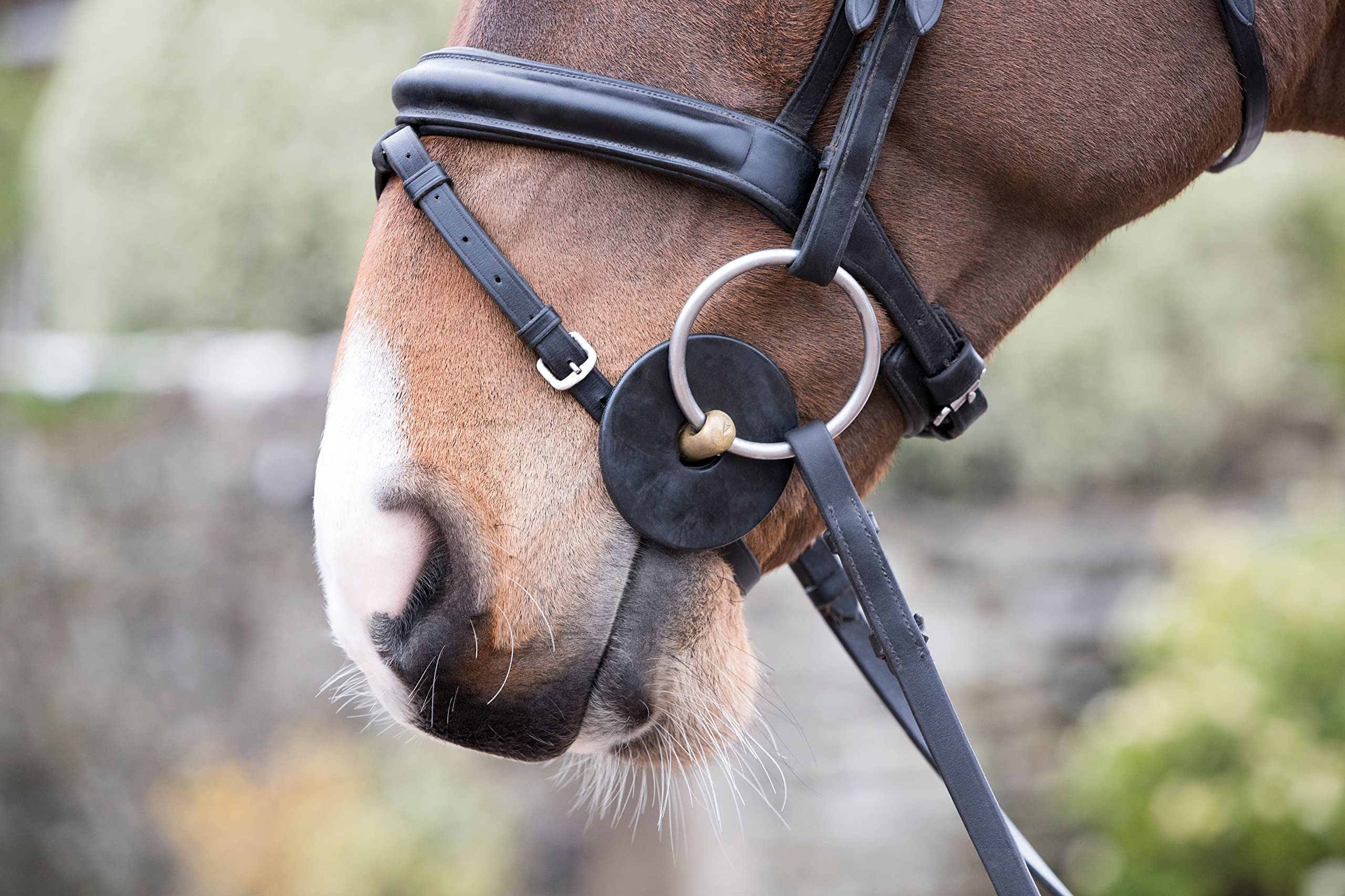 LeMieux Silicone Horse Bit Equestrian Rings Pairs - Soft, Pliable Reduces Chafing & Rubbing