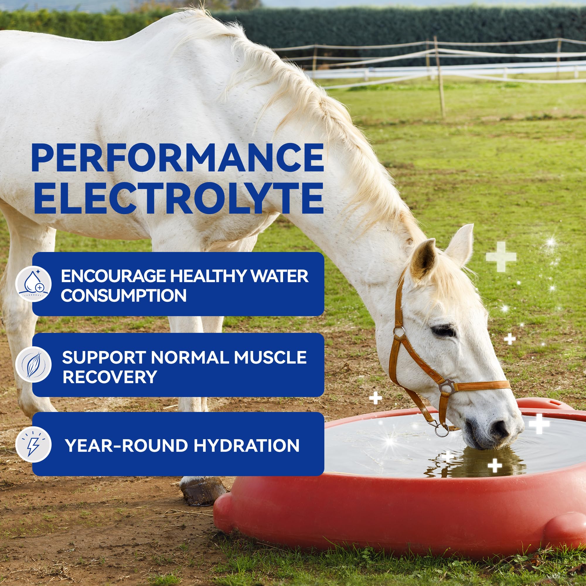 Electrolitos en Polvo para Caballos, Electrolitos para Equinos con Sodio y Potasio, Suplemento para la Hidratación Equina-1400g