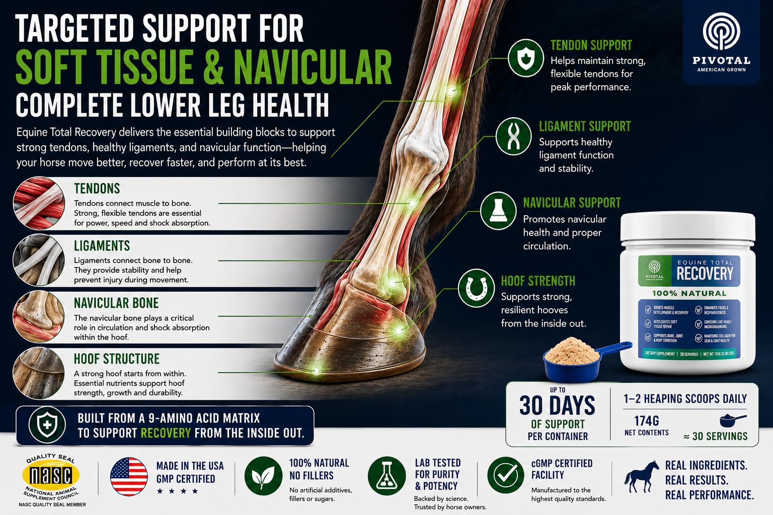 Pivotal Feeds Equine Total Recovery Suplemento – 9 aminoácidos y probióticos para caballos | Recuperación muscular, rendimiento y apoyo digestivo | Decoración de alimentación para caballos | 100 porciones
