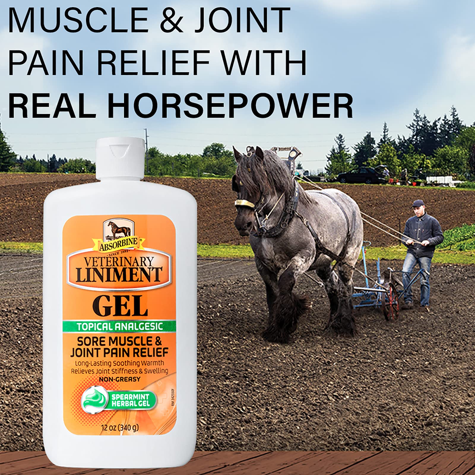 Absorbine Linimento Veterinario Analgésico Tópico Alivio del Dolor Muscular y Artrítico Linimento Rubefaciente, Gel de 340 gramos