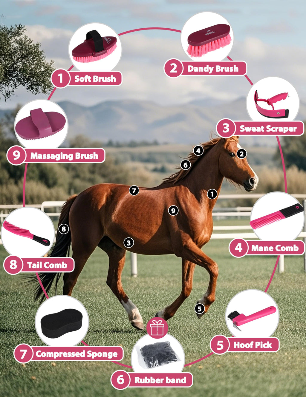 Kit de aseo Shinewell para caballos, set completo de cepillos para caballos, herramientas de aseo equino para muda y cuidado diario Naranja