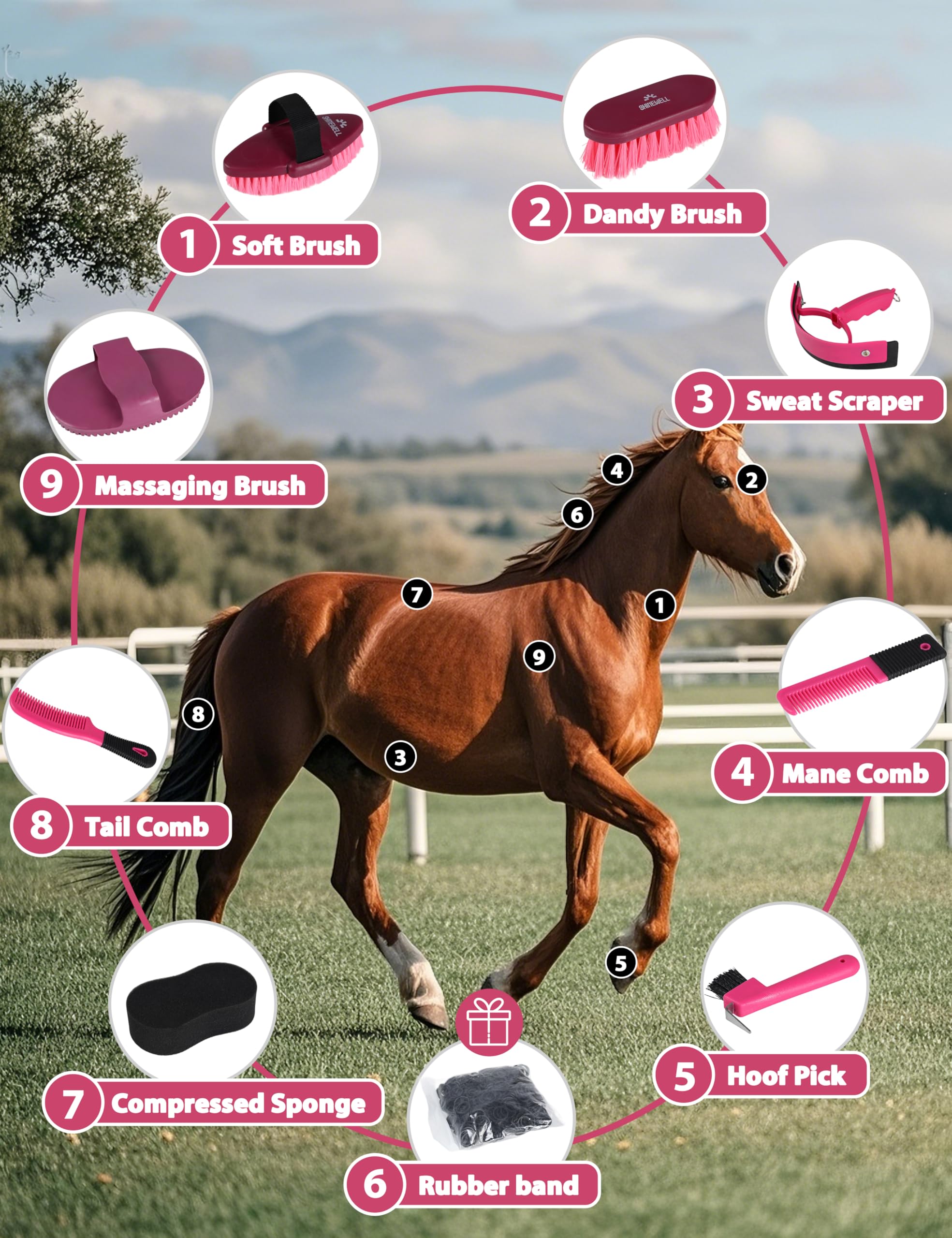 Kit de aseo Shinewell para caballos, set completo de cepillos para caballos, herramientas de aseo equino para muda y cuidado diario Naranja