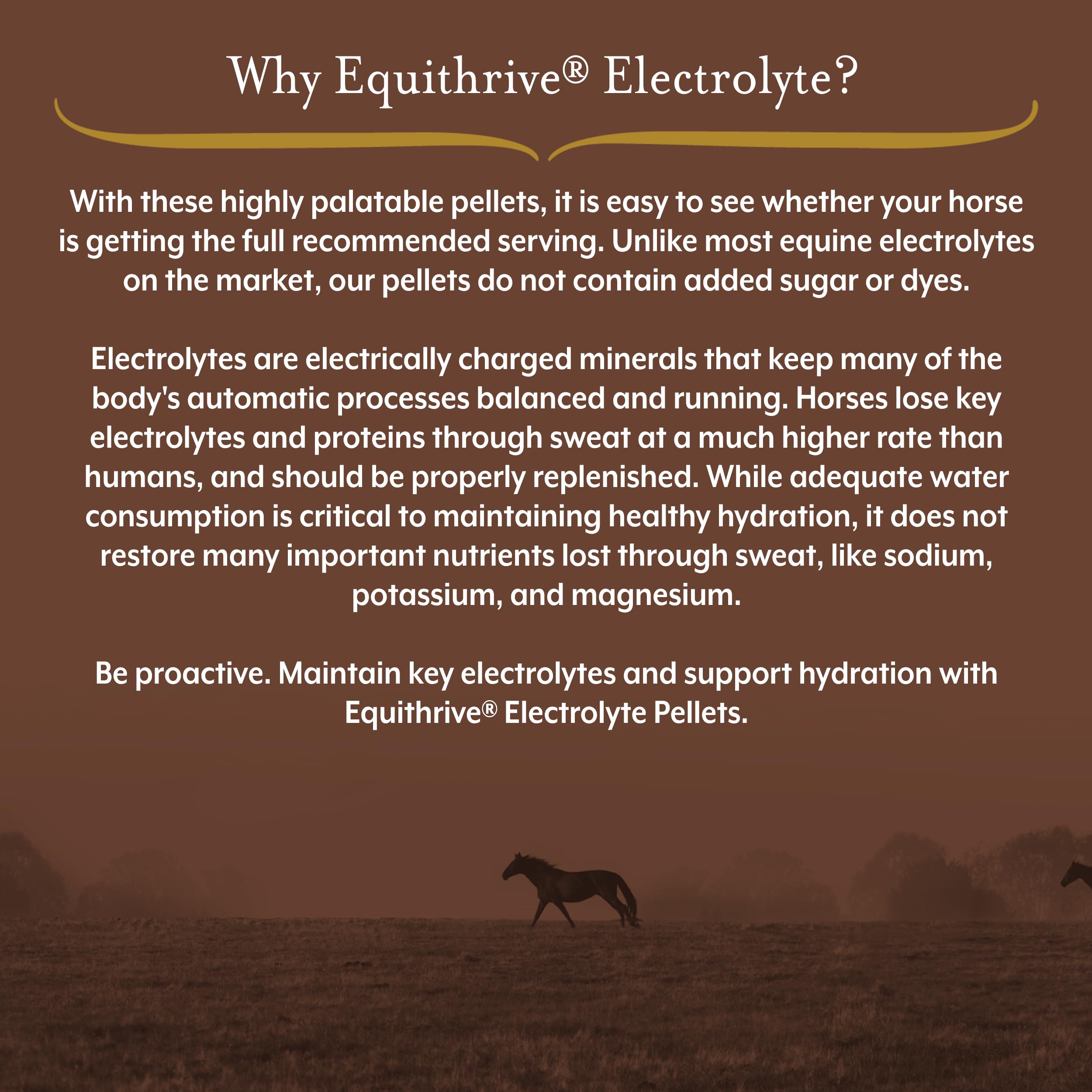 Equithrive Horse Electrolyte Pellets, Vitamins and Minerals Supplement, Equine Feed Supplies for Training and Competition, .5 lbs, 3 Day Supply