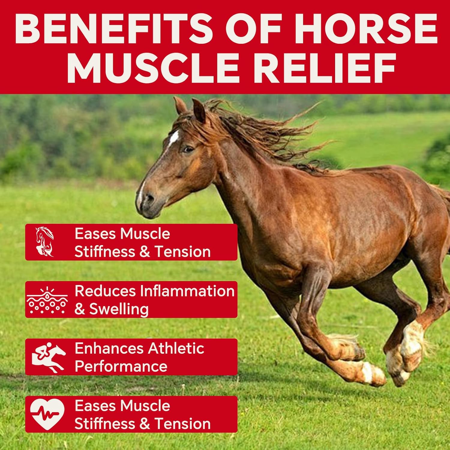 Liniment Gel DMSO for Horses | Veterinary Liniment Gel | Medical-Grade DMSO | Magnesium & Castor Oil Horse Cream for Joint & Muscle Pain | Horse Pain Relief | Muscle Pain Gel - 60g