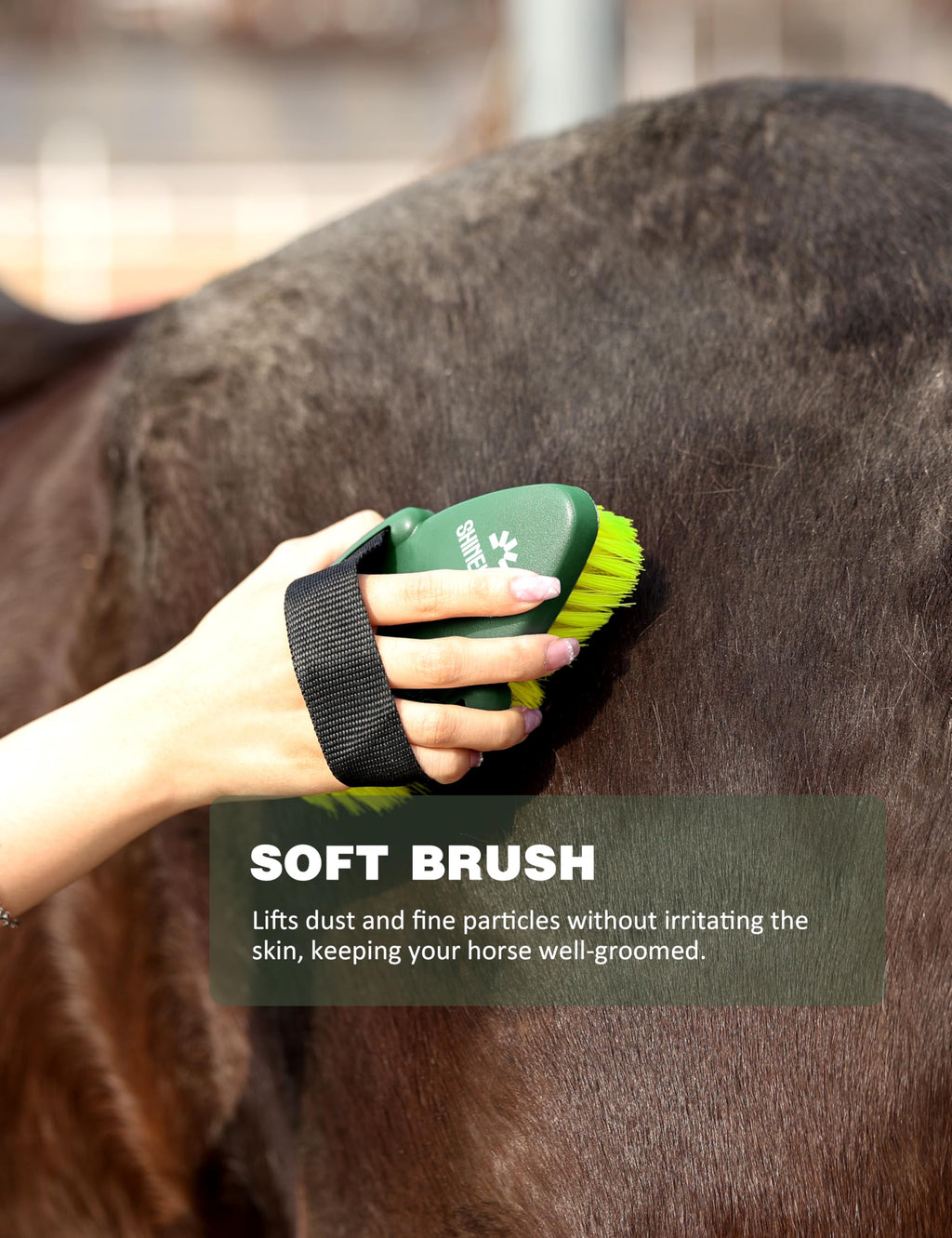 Kit de aseo Shinewell para caballos, set completo de cepillos para caballos, herramientas de aseo equino para muda y cuidado diario Naranja