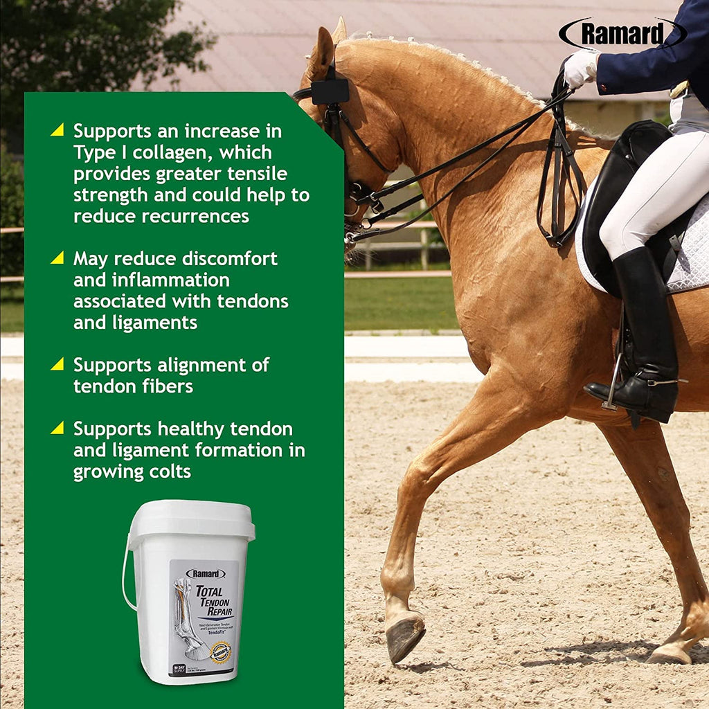 Ramard Total Tendon Repair – Suplemento en polvo avanzado con vitamina C, colágeno y MSM para el soporte de articulaciones, ligamentos y tendones equinos - Suplementos para la elasticidad y la fuerza - Suministro para 90 días