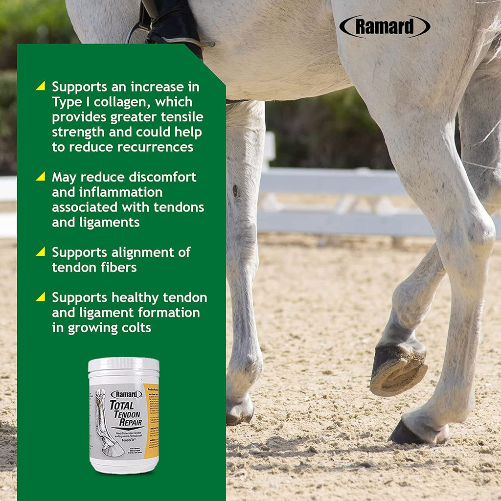 Ramard Total Tendon Repair – Suplemento en polvo avanzado con vitamina C, colágeno y MSM para el soporte de articulaciones, ligamentos y tendones equinos - Suplementos para la elasticidad y la fuerza - Suministro para 90 días