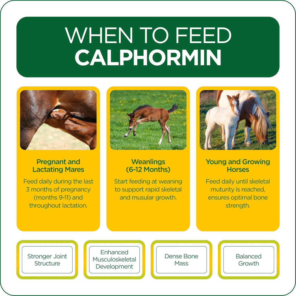 Suplemento equino rico en nutrientes TRM Calphormin para el desarrollo óseo óptimo de caballos jóvenes - 10 Kg (22 lb) - Cubeta - 22 lb