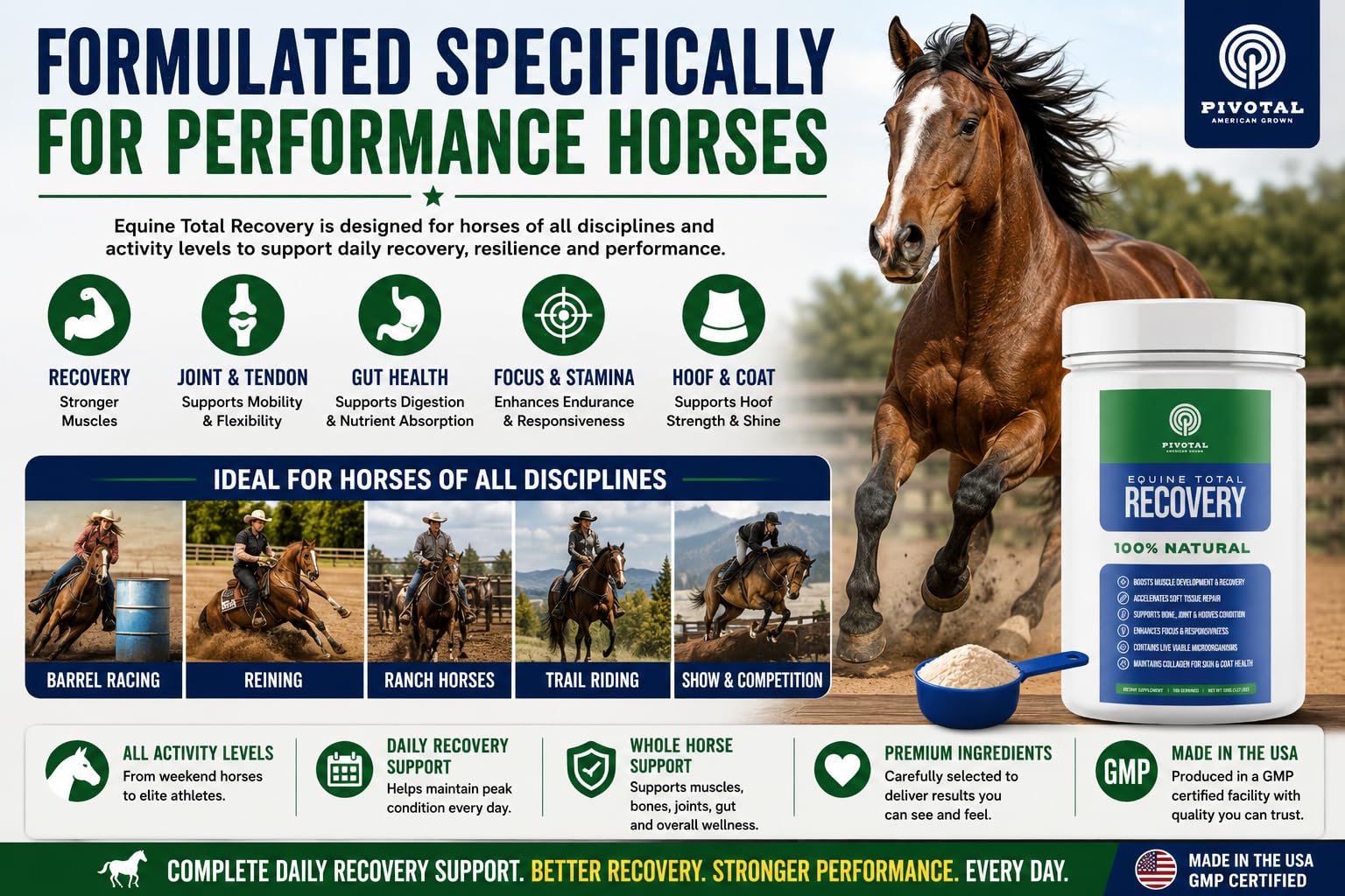 Pivotal Feeds Equine Total Recovery Suplemento – 9 aminoácidos y probióticos para caballos | Recuperación muscular, rendimiento y apoyo digestivo | Aderezo de pienso para caballos | 100 porciones