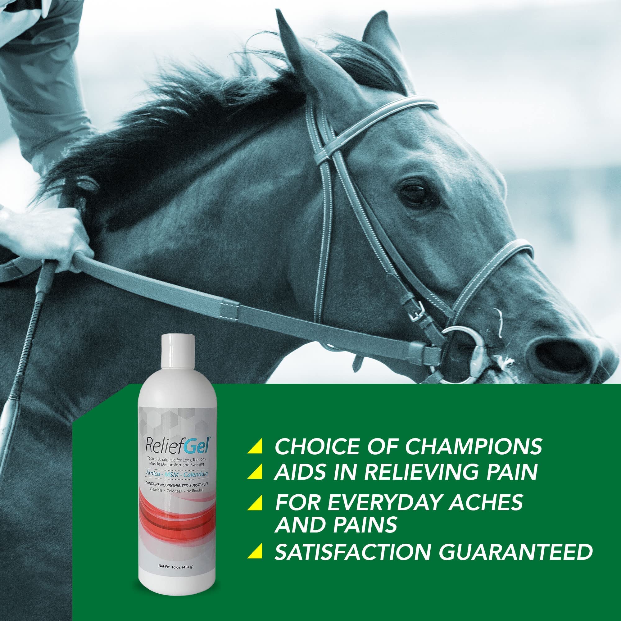 Ramard Relief Poultice for Horses -Veterinary Liniment Gel for Horse Muscle, Joint, Tendon & Ligament Care -Equine Poultice Leg Wraps, Gentle Liniment Bentonite Clay, Arnica, Calendula, & MSM 5lbs Tub