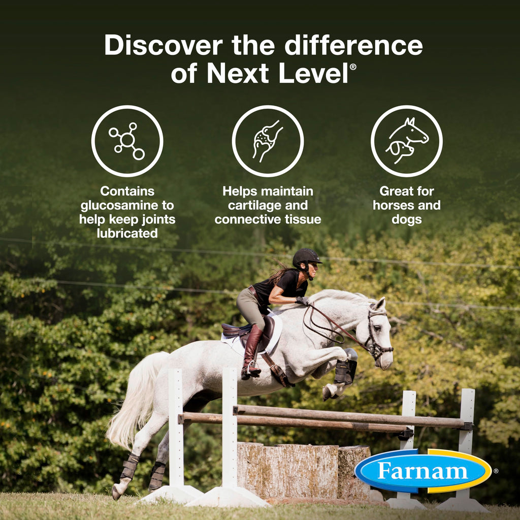 Suplemento Farnam Next Level Joint Fluid para caballos y perros, ayuda a mantener el tejido conectivo para aliviar la rigidez de las articulaciones debido a la actividad diaria, 473 ml, suministro para 16 días
