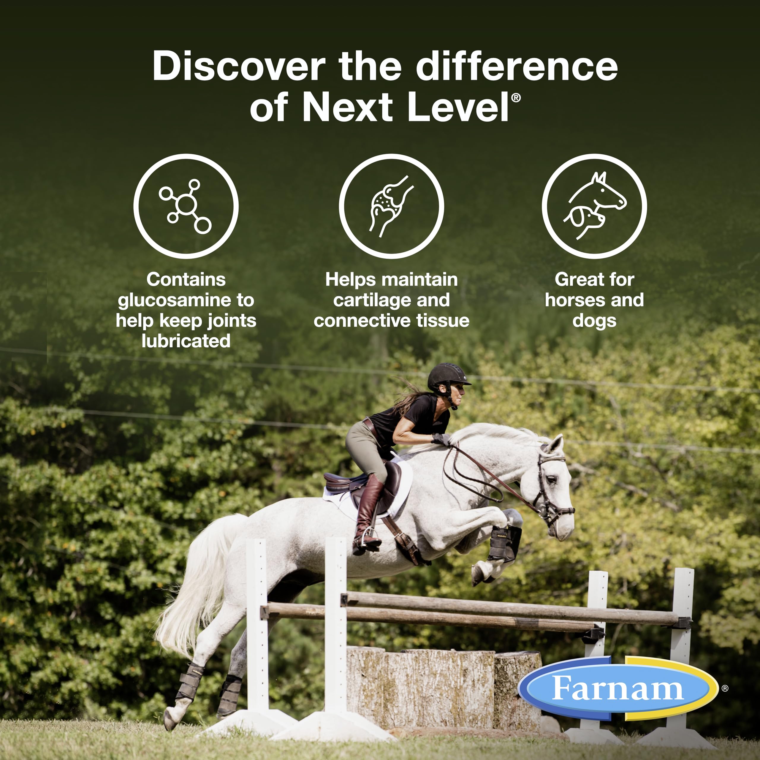 Suplemento Farnam Next Level Joint Fluid para caballos y perros, ayuda a mantener el tejido conectivo para aliviar la rigidez de las articulaciones debido a la actividad diaria, 473 ml, suministro para 16 días
