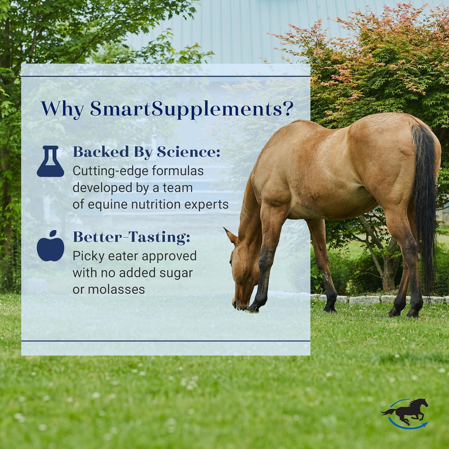 SmartLytes Horse Electrolyte Powder Supplement | Encourages Hydration, Replenishes Electrolytes | No Added Sugar | Cherry Flavor | 56 Servings | 3.7 lb Bucket
