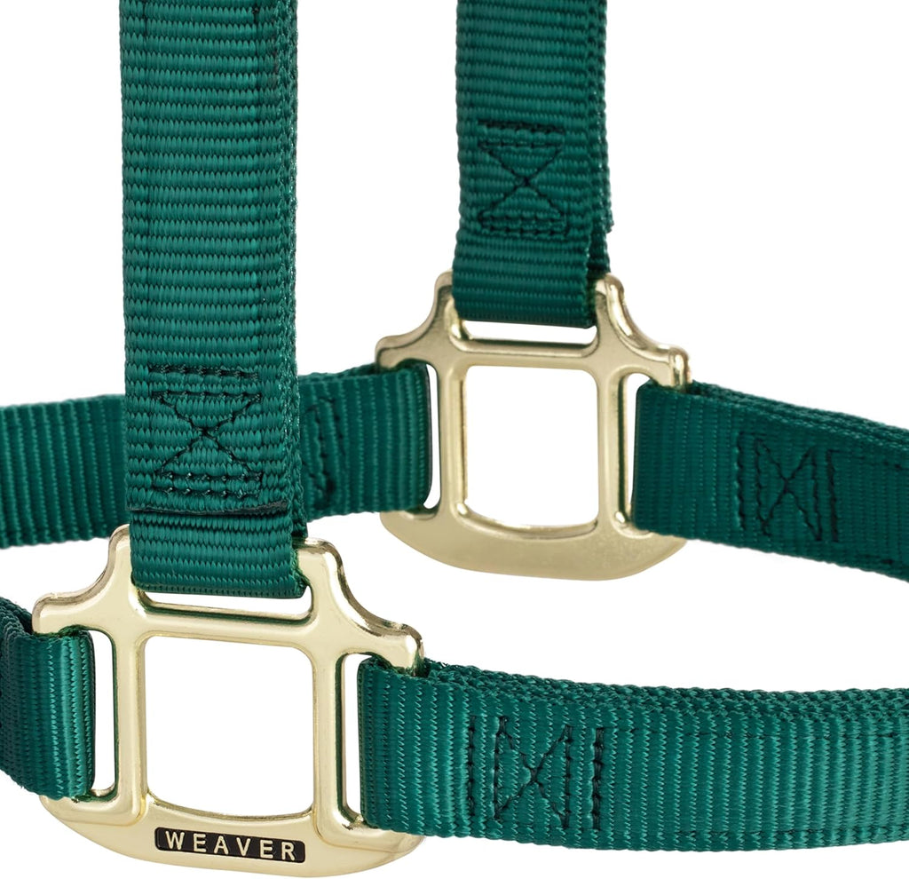 Cabestro Weaver Leather Original de nailon, no ajustable, para caballo