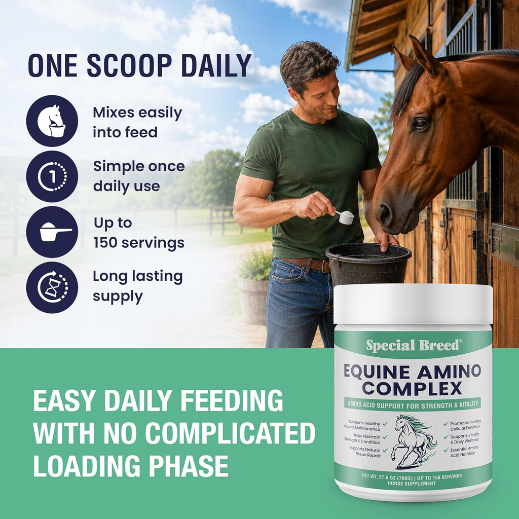 150-Day Supply Horse Amino Acid Supplement - Equine Amino Complex for Muscle, Topline & Recovery Support - Supports Strength, Tissue Repair & Vitality - Daily Horse Supplement Powder
