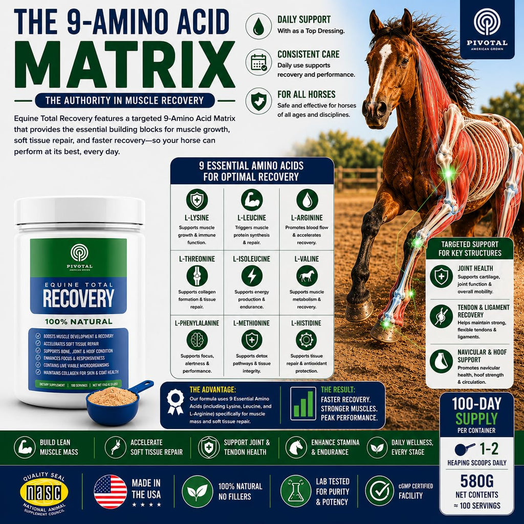 Pivotal Feeds Equine Total Recovery Suplemento – 9 aminoácidos y probióticos para caballos | Recuperación muscular, rendimiento y apoyo digestivo | Aderezo de pienso para caballos | 100 porciones