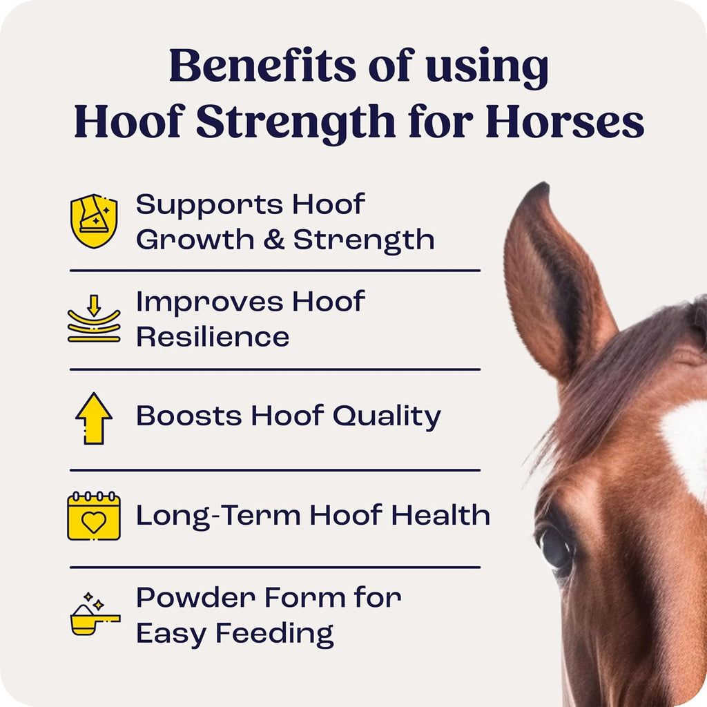 Summit Equine Hoof Strength Polvo para la Resistencia del Casco en Caballos, Promueve Cascos Saludables con Biotina, Aminoácidos y Minerales, Suplemento para Cascos de Caballos, 11 oz, Suministro para 30 Días