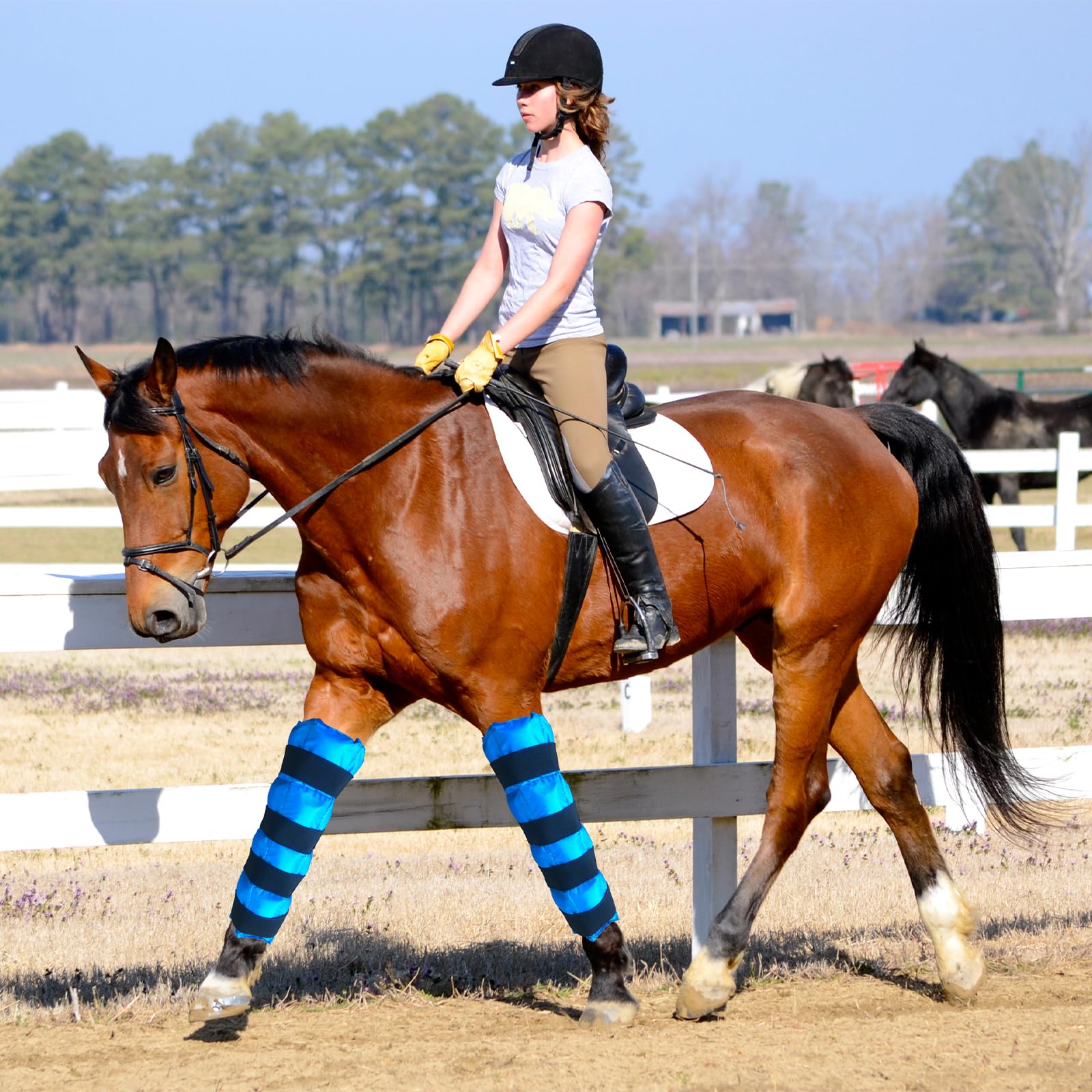 Horse Ice Boots 2-Pack - Reusable Gel Cold Therapy Pack for Swelling & Pain Relief, Cooling Wraps for Hock, Knee, Ankle, Hoof, Adjustable Fit for Horses, Ponies, Drafts, Durable, Leak-Resistant (Blue)