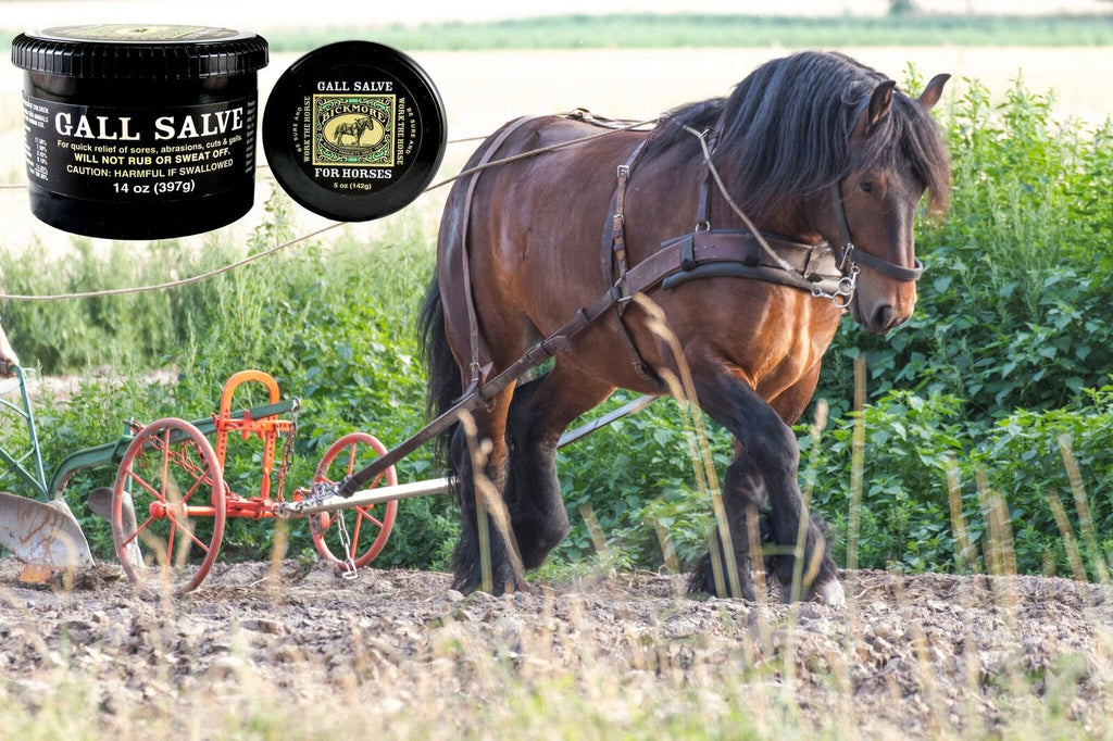 Bickmore Gall Salve Crema para Heridas para Caballos 14oz - Alivio Equino Rápido de Llagas, Abrasiones, Cortes y Rozaduras