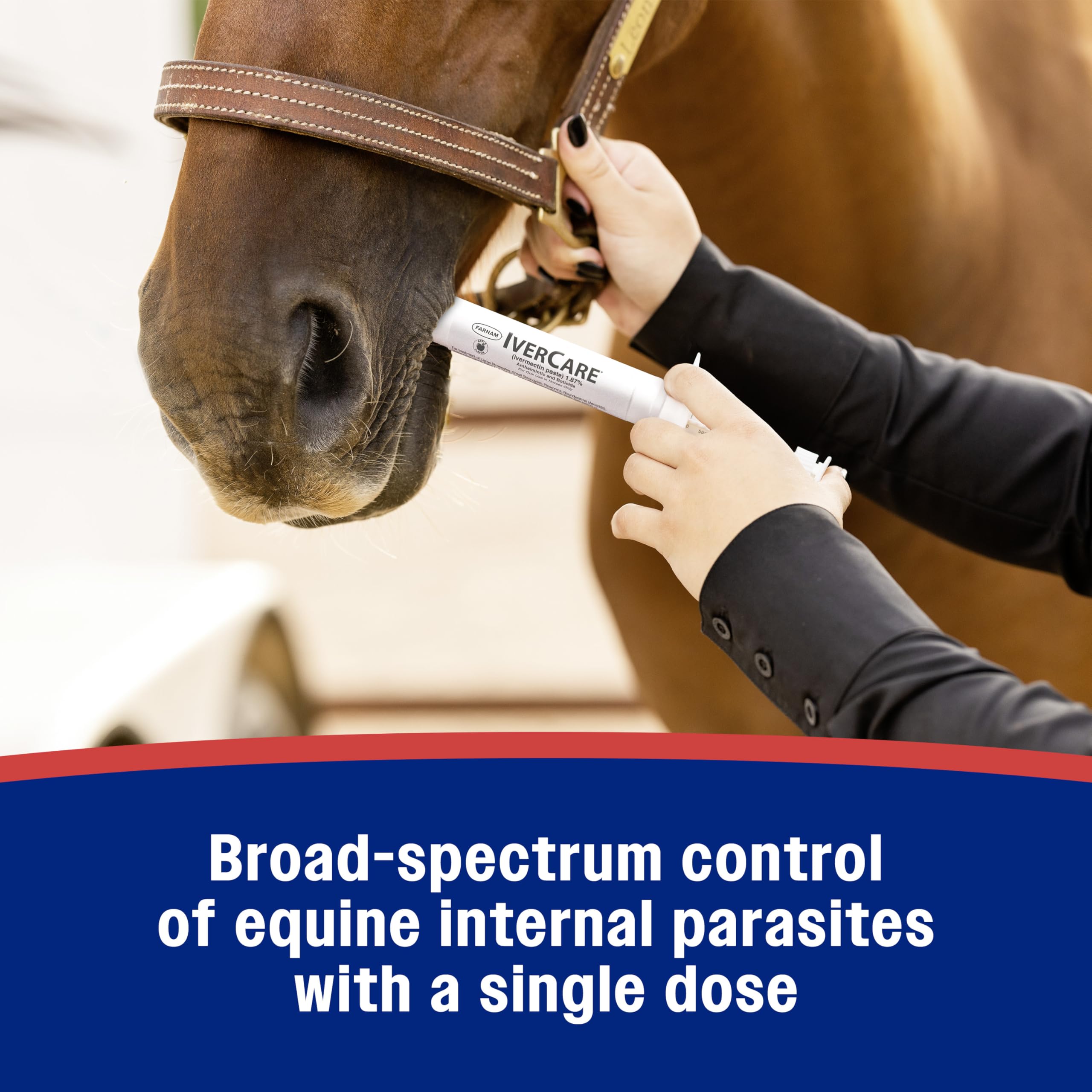 Farnam IverCare (ivermectin Paste) 1.87% for Horses, Anthelmintic and Boticide, 0.21 Ounces, Horse Dewormer, Ivermectin Apple-Flavored Paste, Up to 1,250 lbs