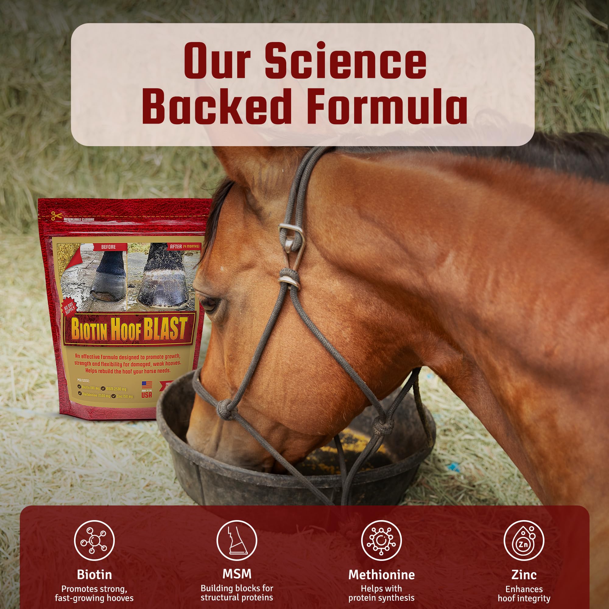 Horse Guard Hoof Supplements for Horses - 80 Servings - Biotin Hoof Blast 10lb Bag with 100mg Biotin per Serving - Concentrated Equine Hoof Health, Strengthener with MSM, Methionine, Zinc