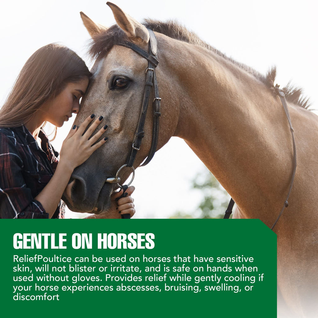 Ramard Relief Poultice for Horses -Veterinary Liniment Gel for Horse Muscle, Joint, Tendon & Ligament Care -Equine Poultice Leg Wraps, Gentle Liniment Bentonite Clay, Arnica, Calendula, & MSM 5lbs Tub