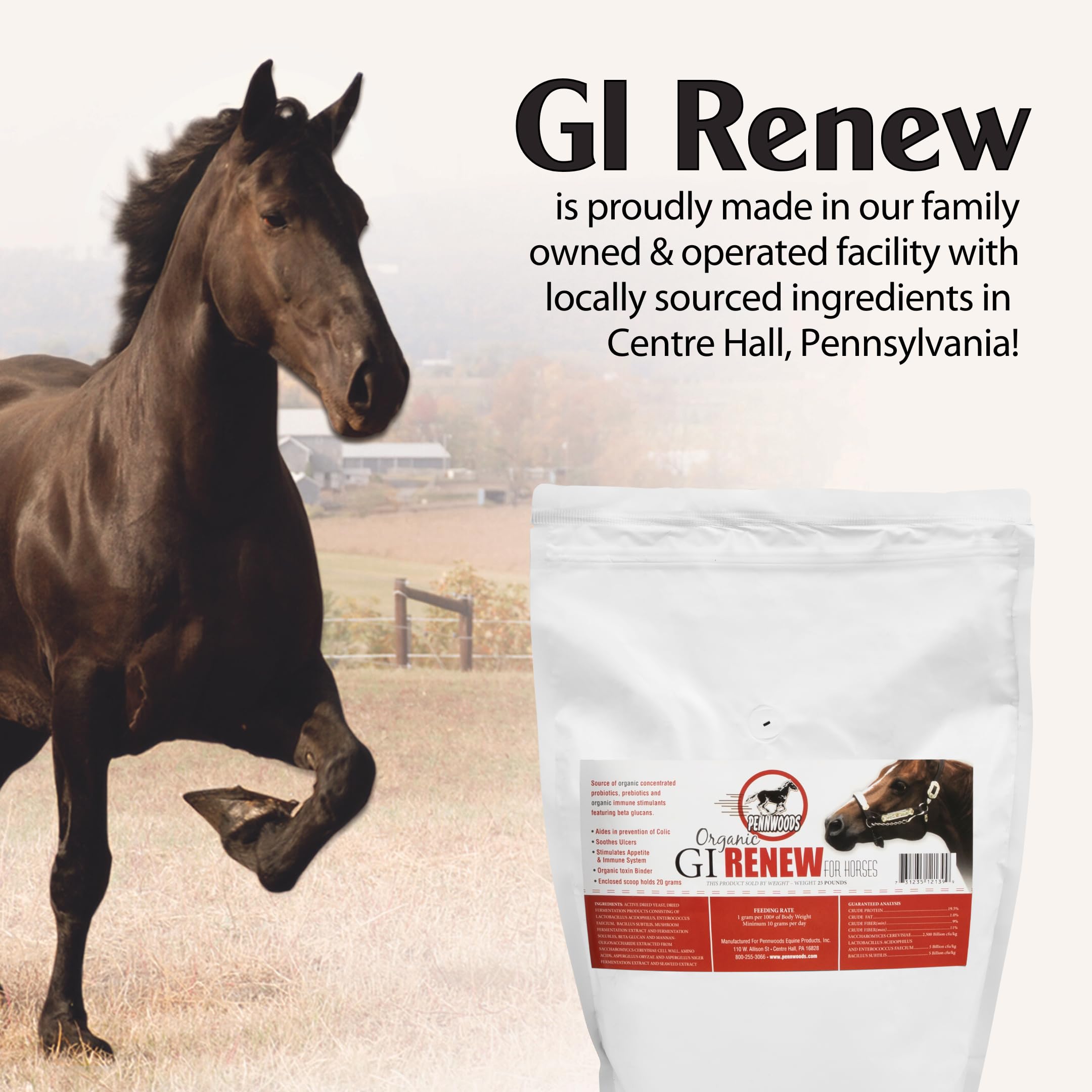 Pennwoods Equine Products GI Renew - 2 LBS | Digestión | Estimulante inmune | Suplemento para caballos | Estimulante del apetito | Probiótico | Prebiótico | Enzimas digestivas | Beta Glucanos |